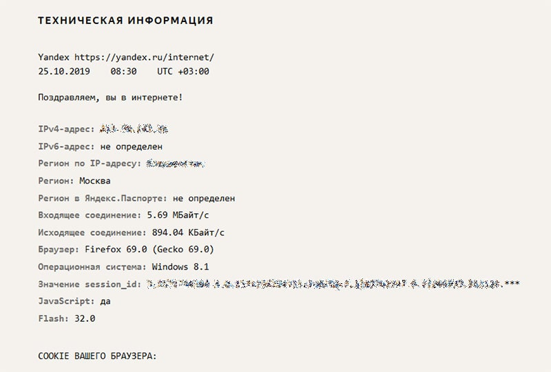 Техническая информация интернетометра